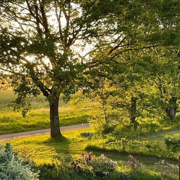 Eco Drenthe Holiday home