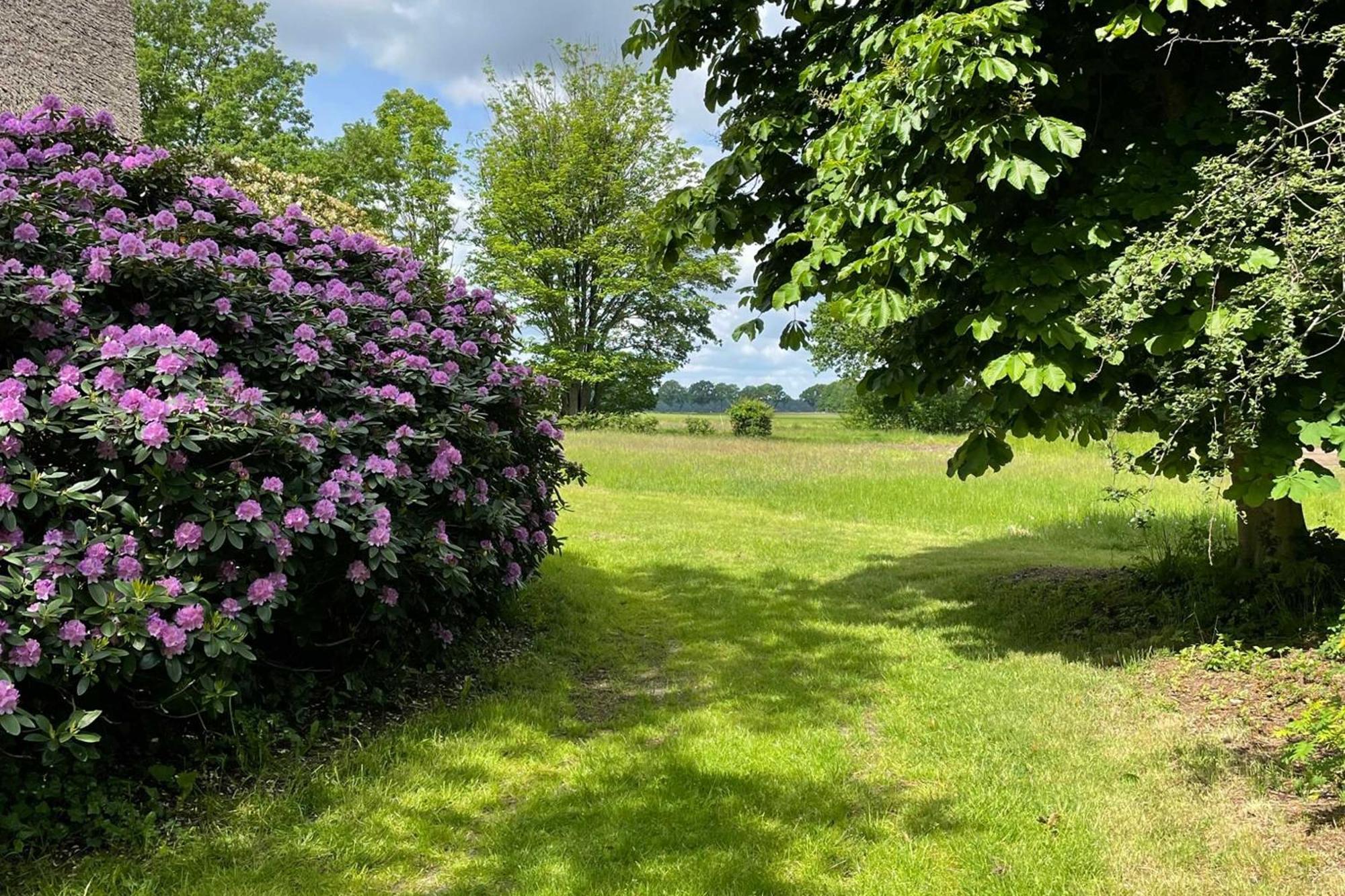 Eco Drenthe *